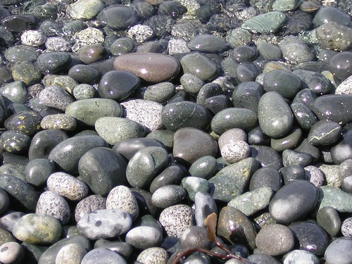 Rocks.